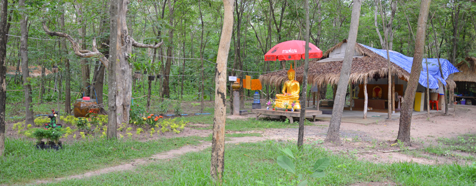 ความงดงามตามธรรมชาติ ของวัดป่าดงยาง.